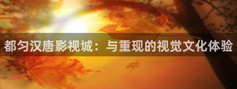 大地影视免费看