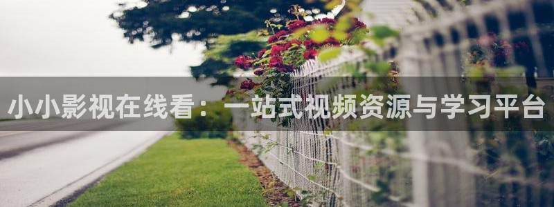 大地影院在哪：小小影视在线看：一站式视频资源与学习平台