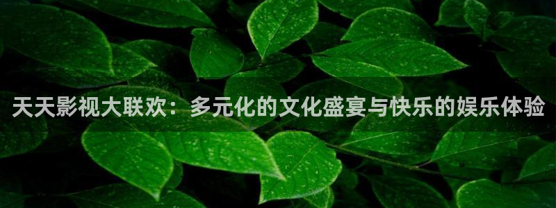 大地视频在线观看免费观看：天天影视大联欢：多元化的文化盛宴与快乐的娱乐体验