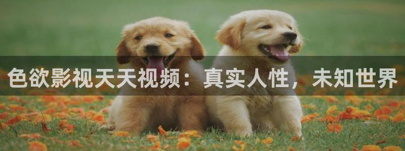 大地影视官网首页