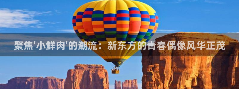 大地影院在线官网