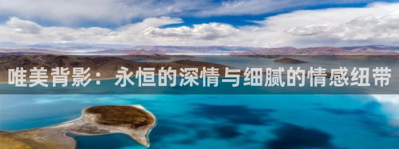 大地视频在线观看高清