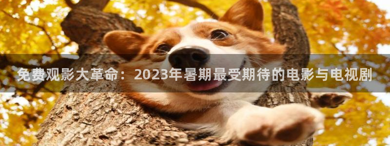 高密大地影院今日电影：免费观影大革命：2023年暑期最受期待的电影与电视剧