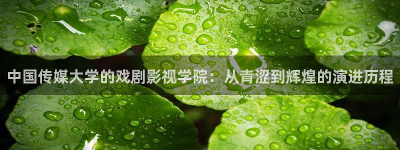 大地影视大全：中国传媒大学的戏剧影视学院：从青涩到辉煌的演进历程