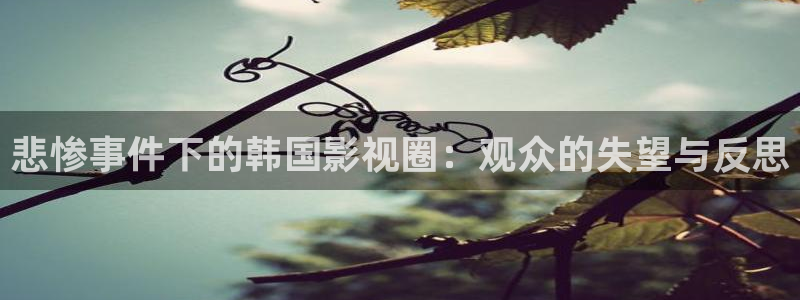 安吉大地影院