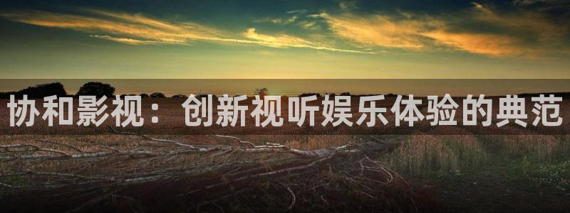 大地影视中文字幕：协和影视：创新视听娱乐体验的典范